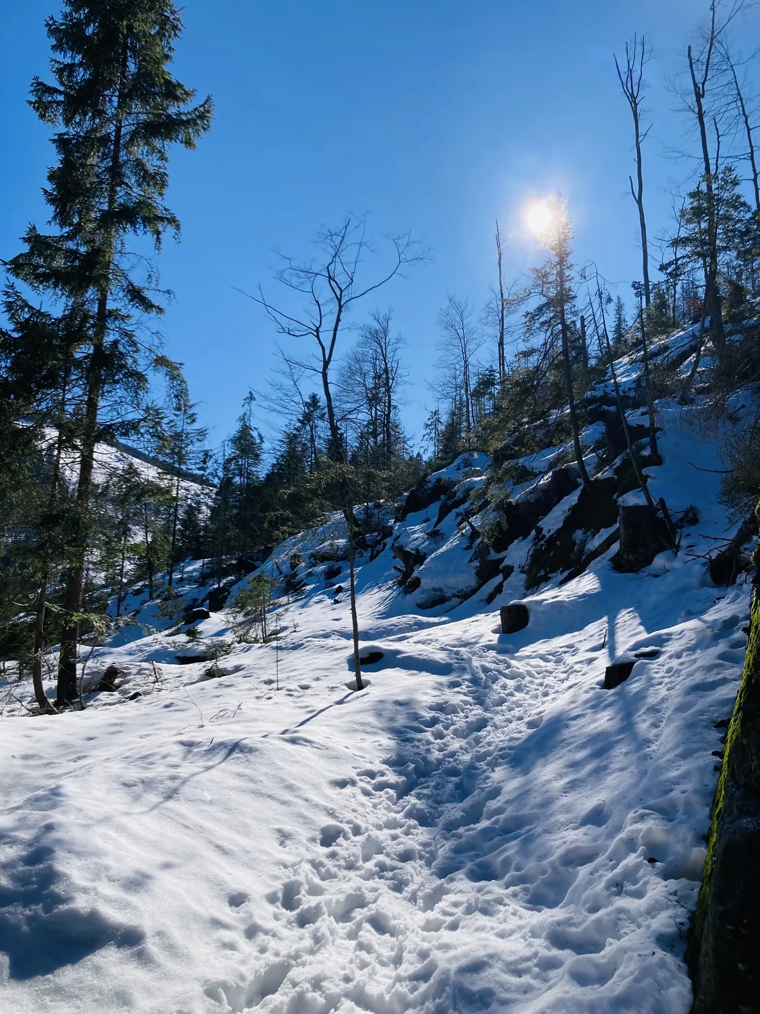 Schneeschuhtour zum Berghaus Sonnenfels | © Killesreiter Marlene