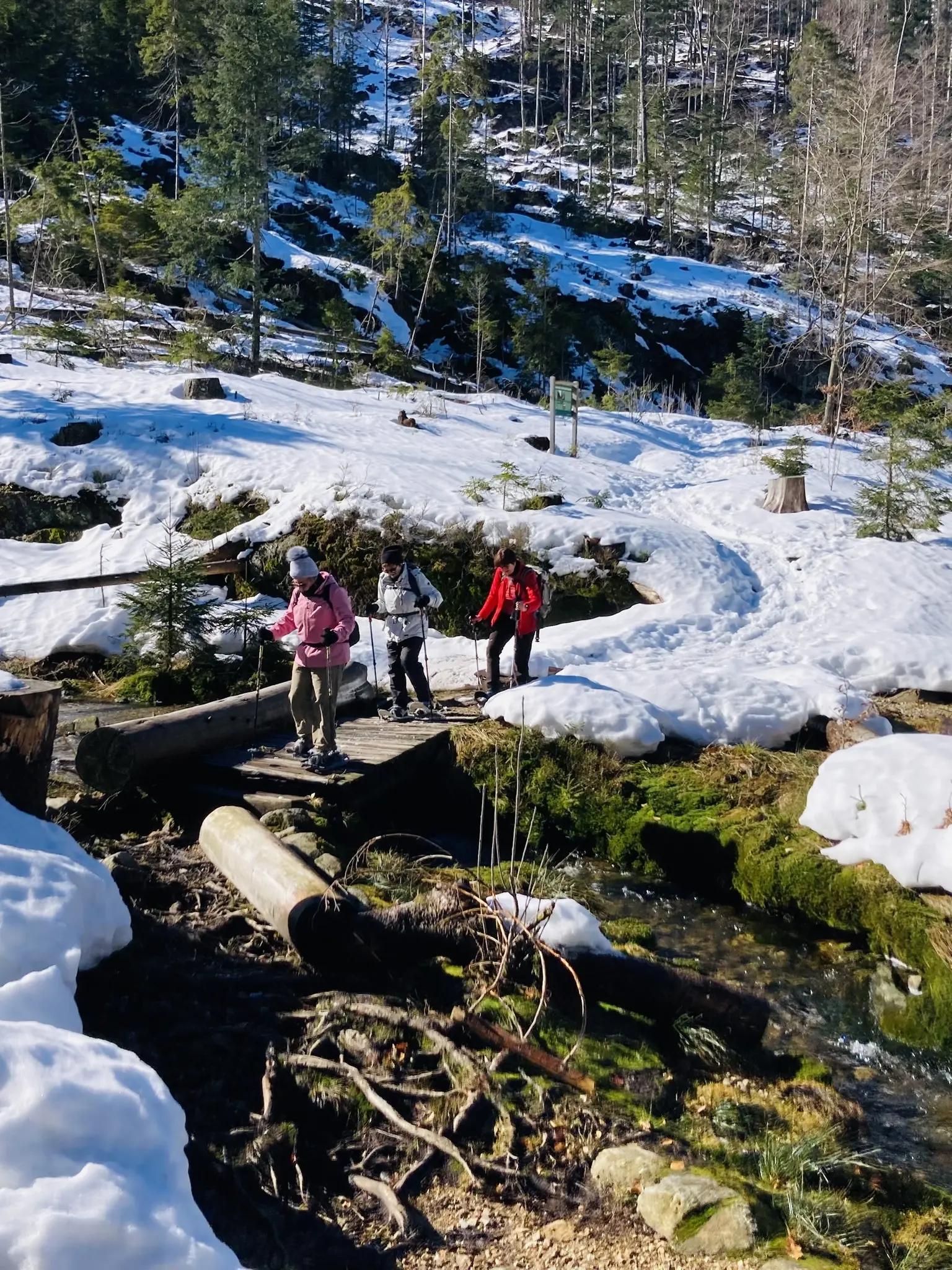 Schneeschuhtour zum Berghaus Sonnenfels | © Killesreiter Marlene
