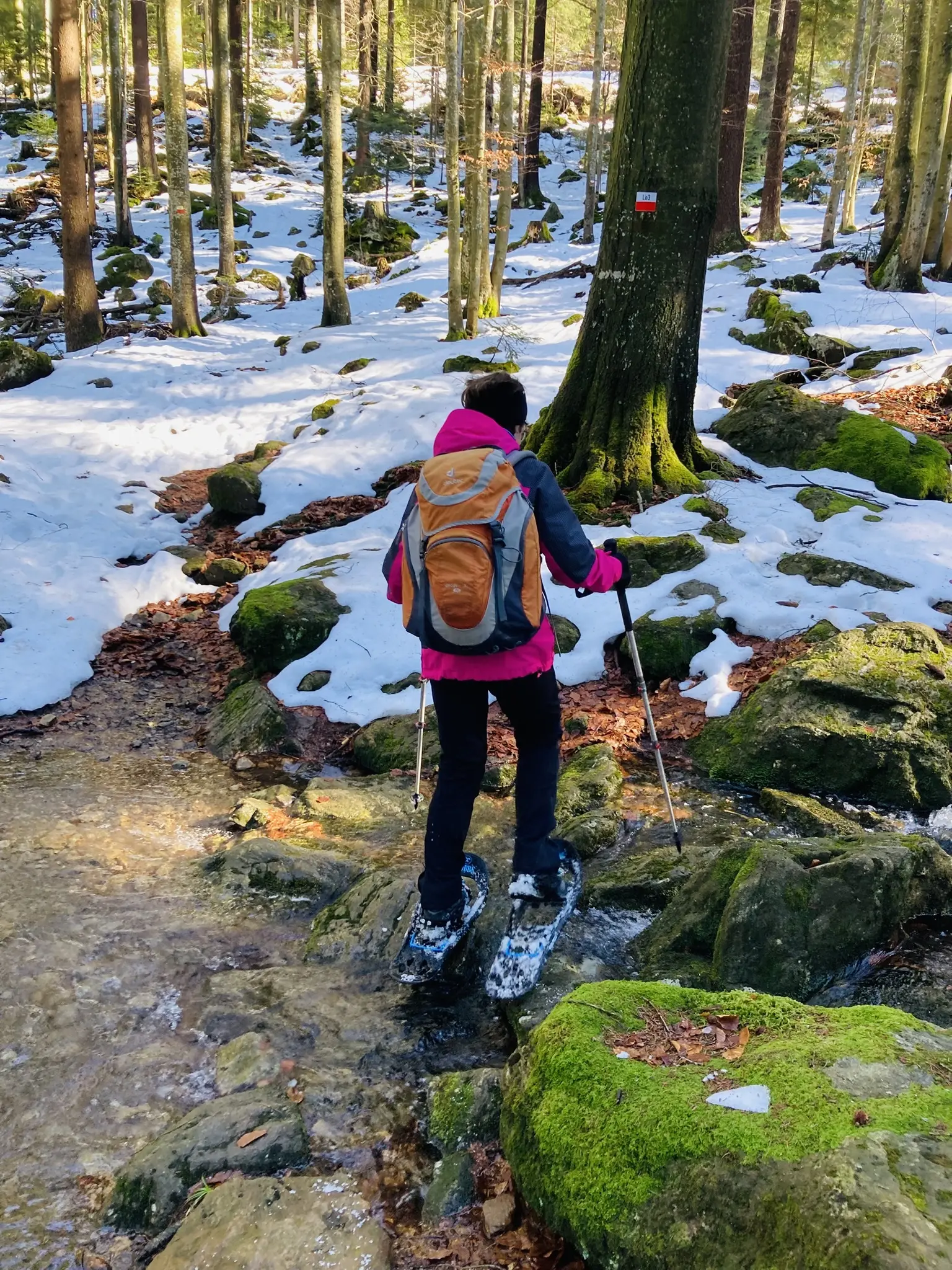 Schneeschuhtour zum Berghaus Sonnenfels | © Killesreiter Marlene