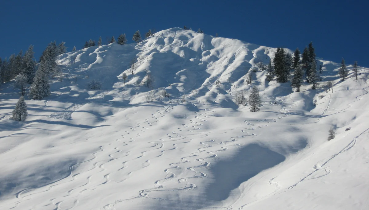 Bodenschneid | © Bodenschneid