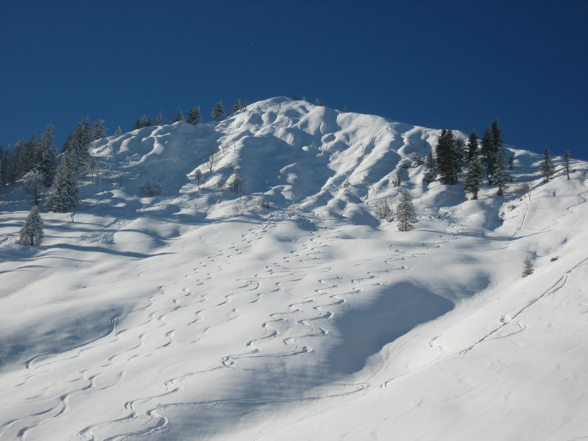 Bodenschneid | © Bodenschneid