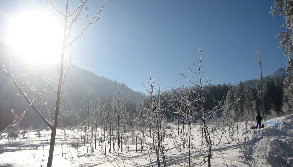 Bodenschneid | © Bodenschneid