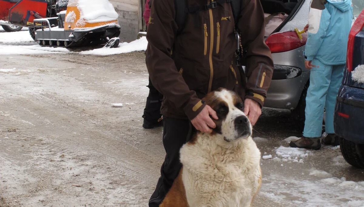 Südtirol | © Südtirol