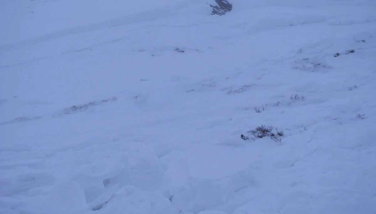 Obernbergtal | © Obernbergtal