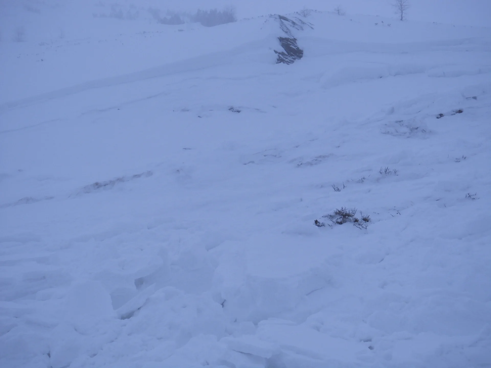 Obernbergtal | © Obernbergtal