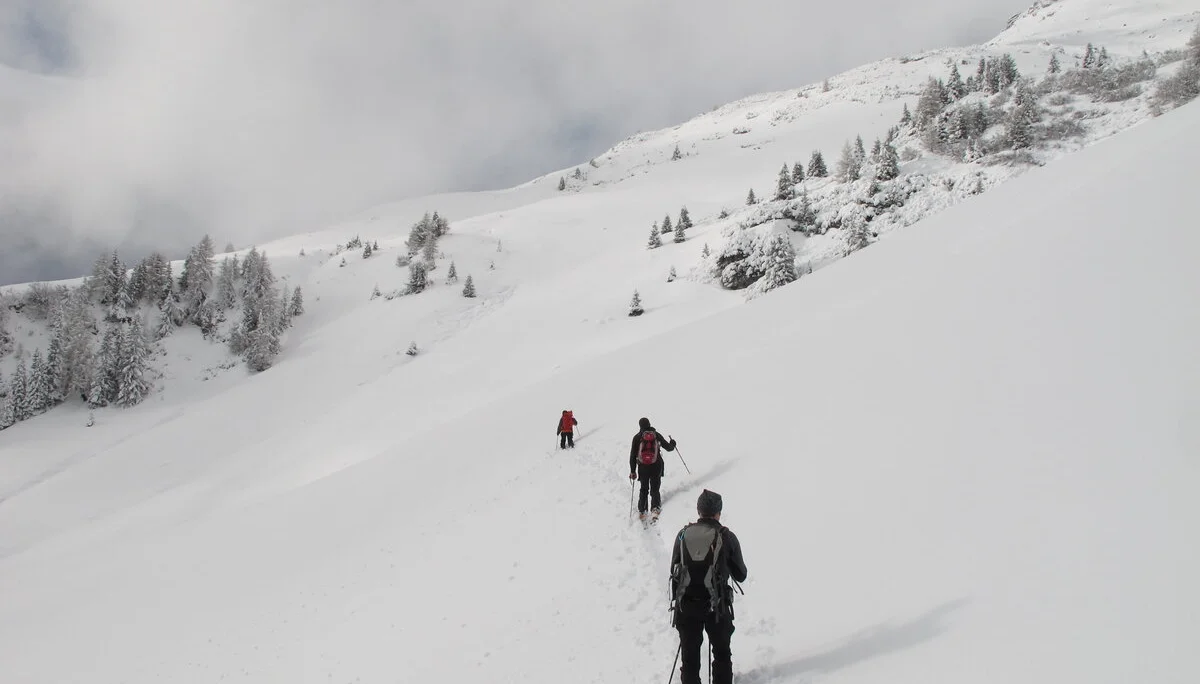 Obernbergtal | © Obernbergtal
