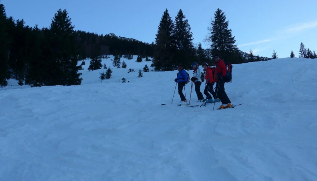 Chiemgauer | © Chiemgauer