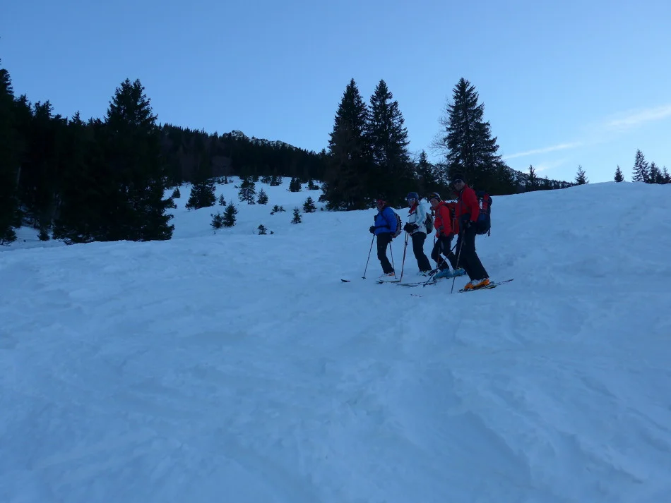 Chiemgauer | © Chiemgauer