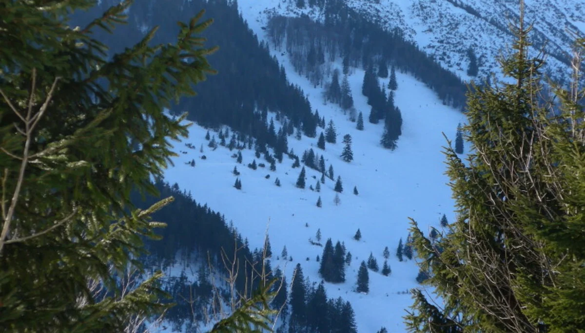 Chiemgauer | © Chiemgauer