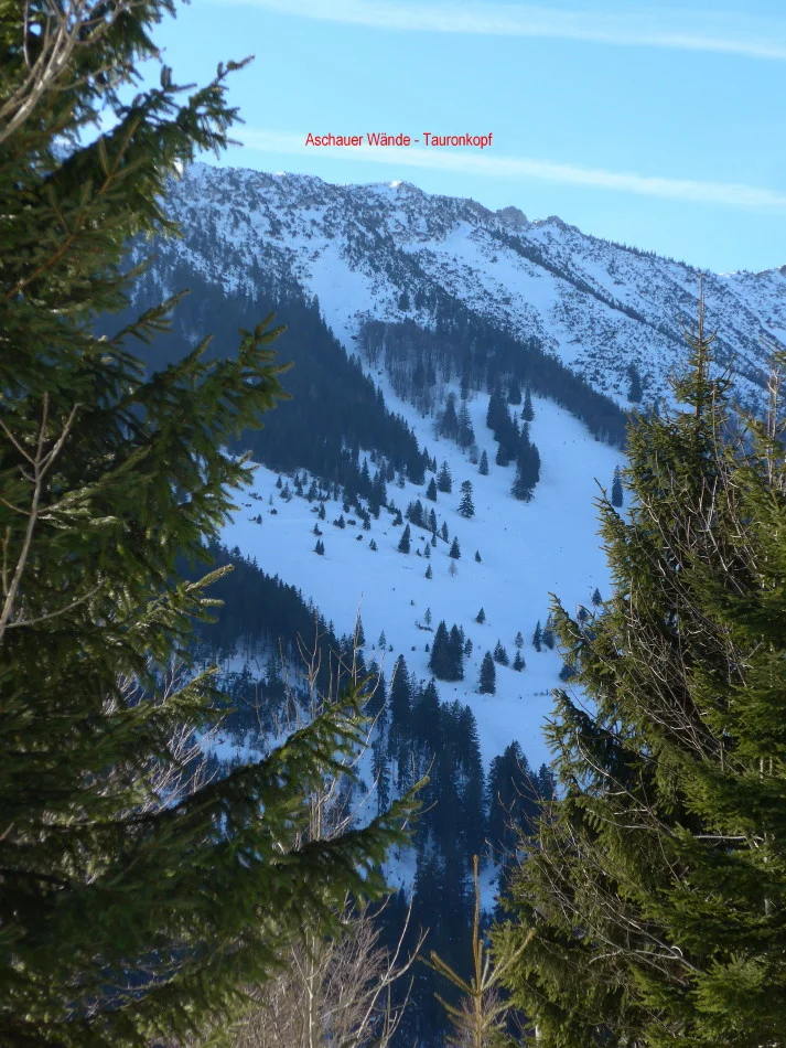 Chiemgauer | © Chiemgauer