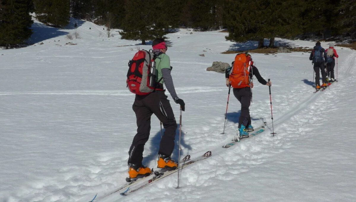 Chiemgauer | © Chiemgauer