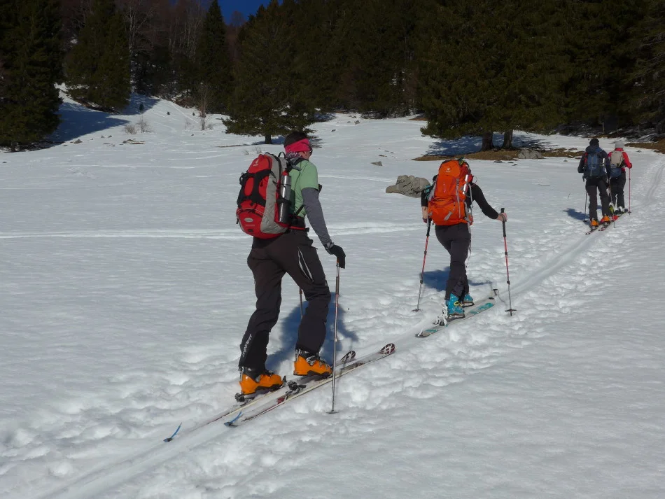 Chiemgauer | © Chiemgauer