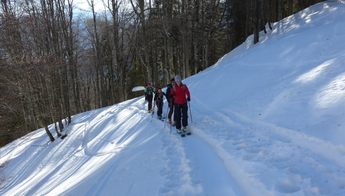 Chiemgauer | © Chiemgauer