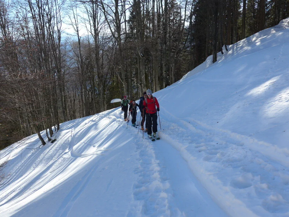 Chiemgauer | © Chiemgauer