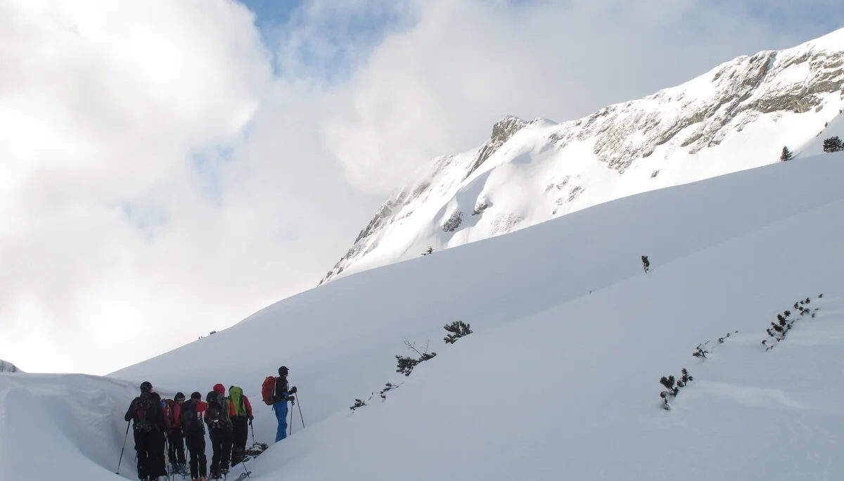 Ammerwald | © Ammerwald