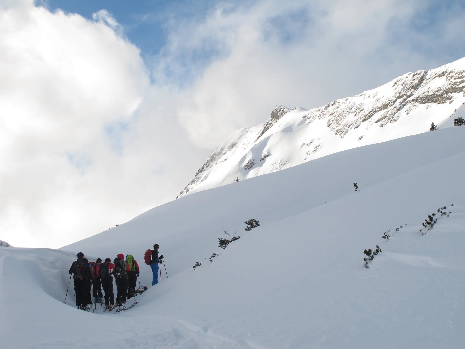 Ammerwald | © Ammerwald