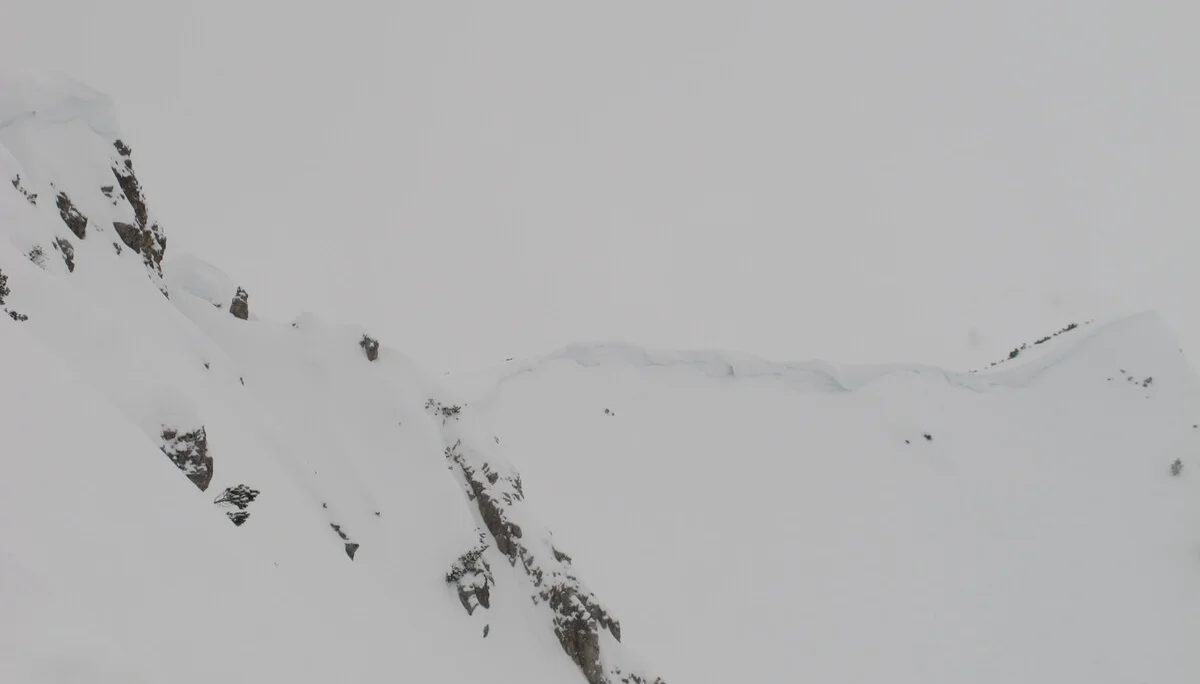 Ammerwald | © Ammerwald