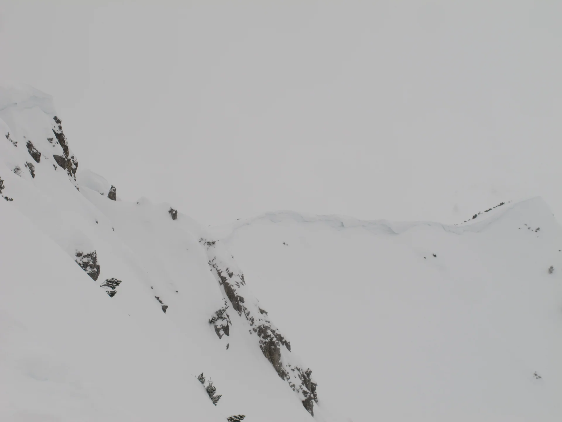 Ammerwald | © Ammerwald