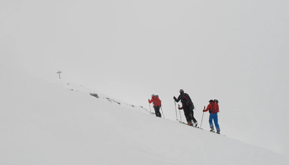 Ammerwald | © Ammerwald