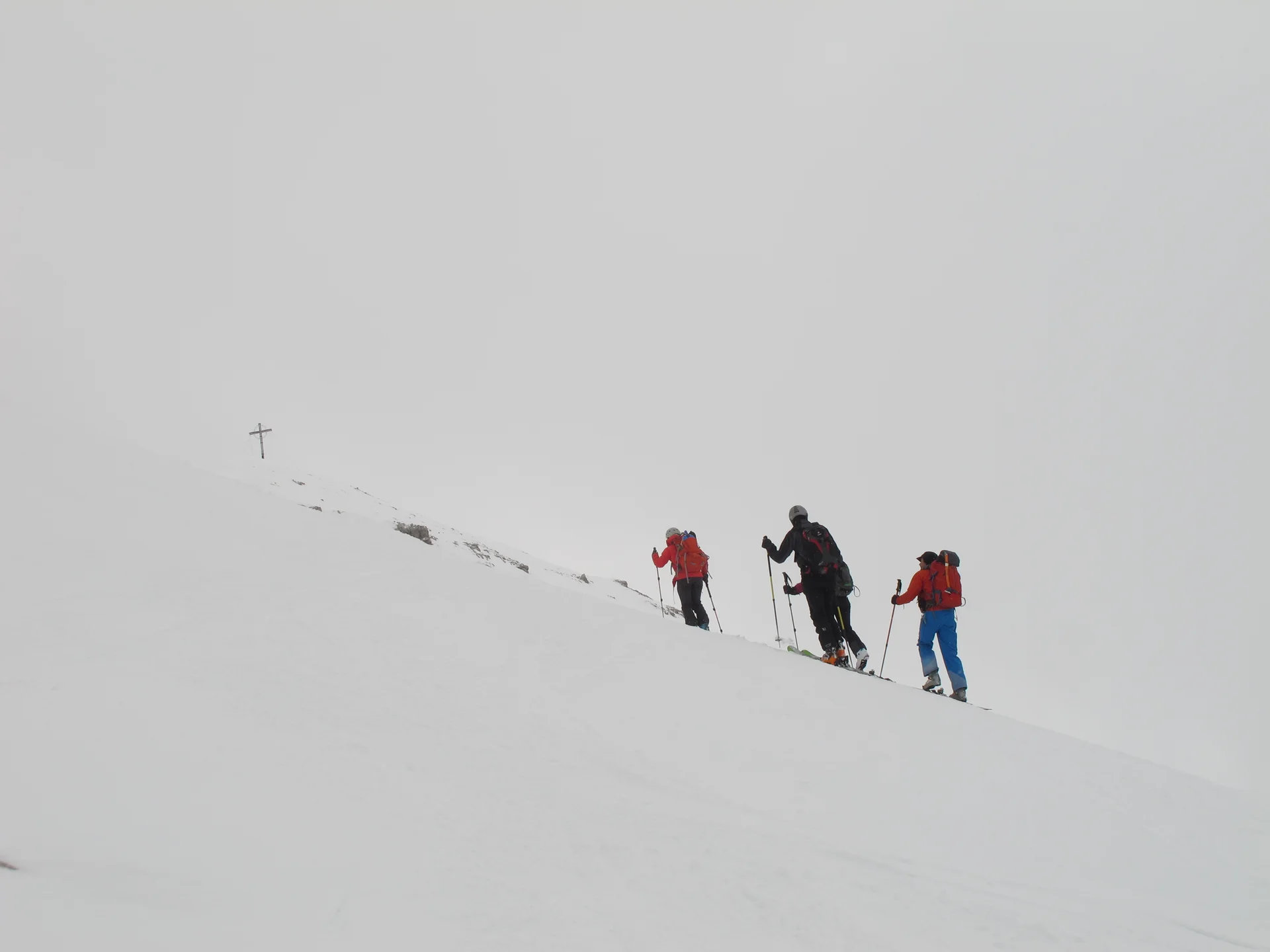 Ammerwald | © Ammerwald