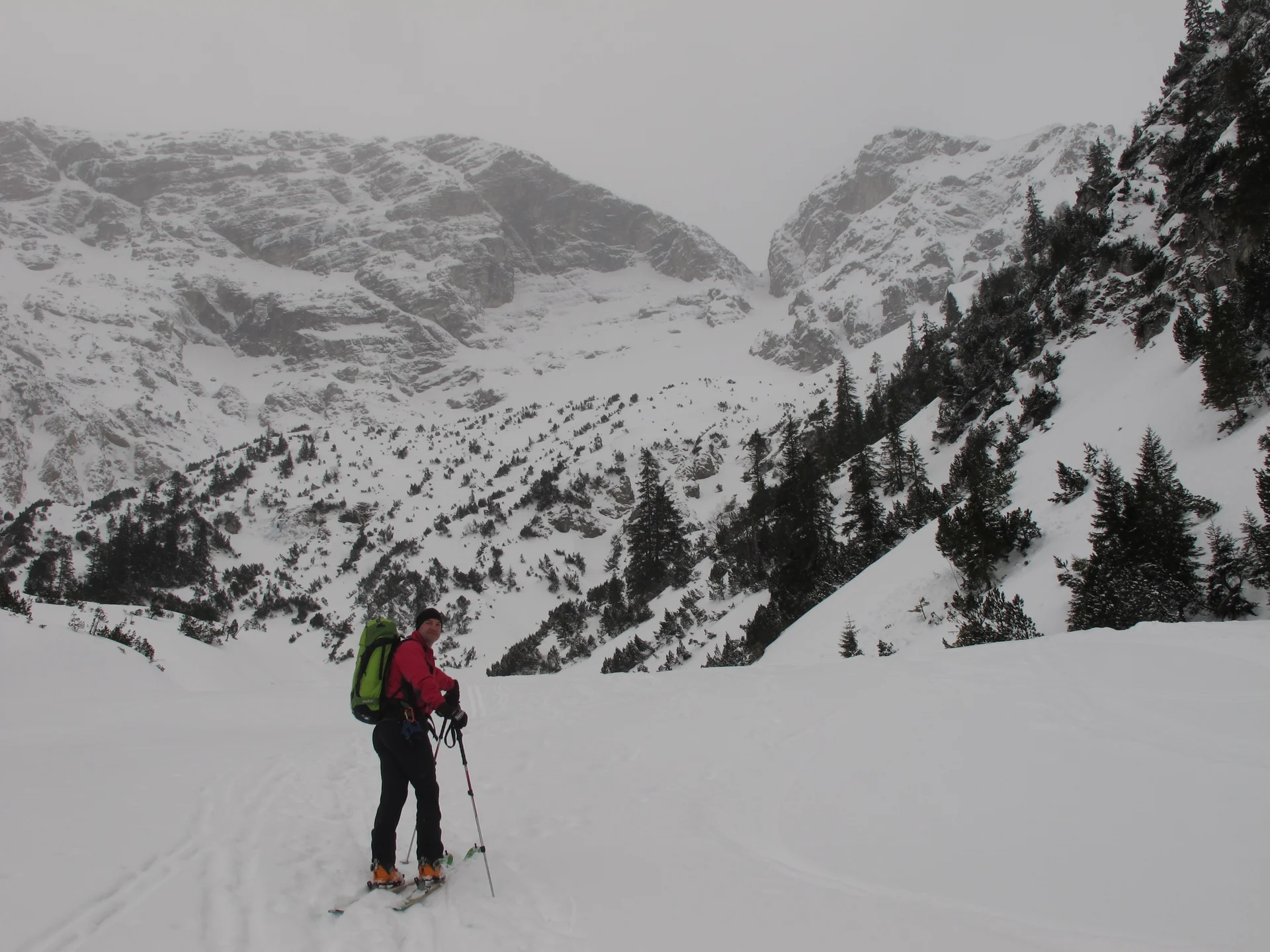 Ammerwald | © Ammerwald