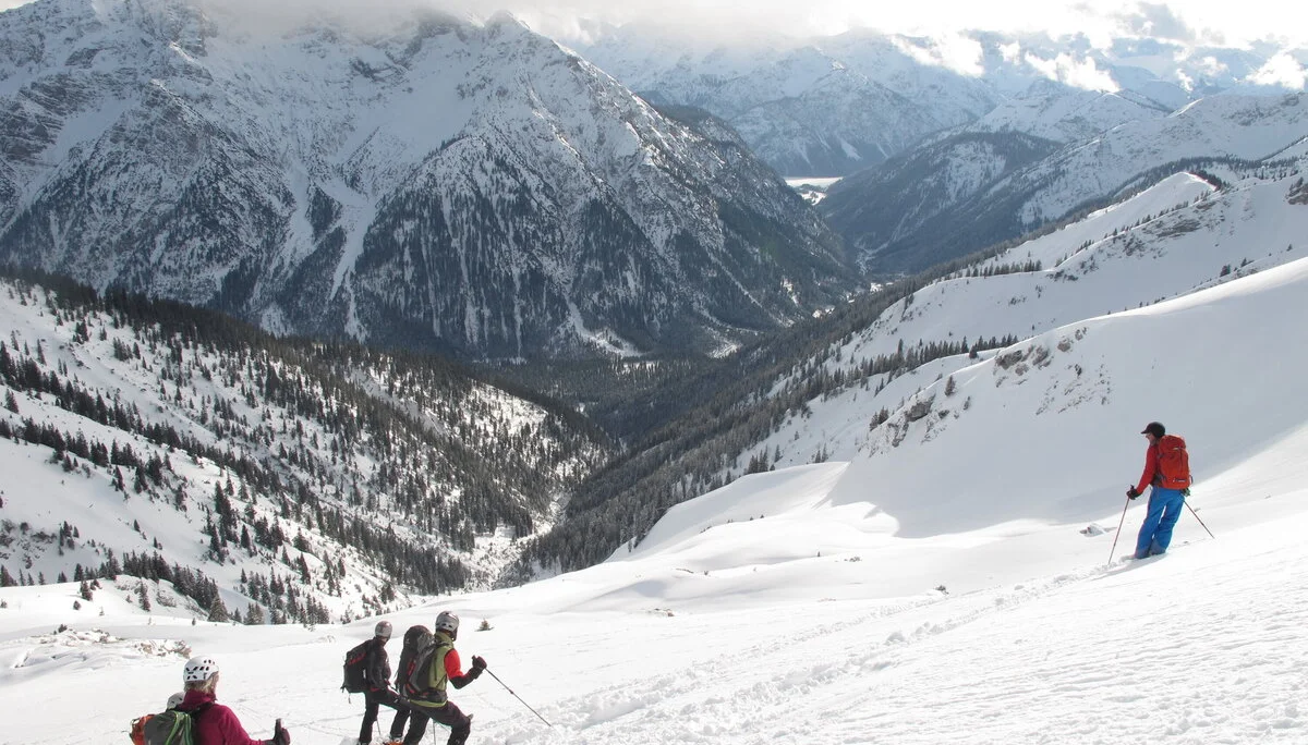 Ammerwald | © Ammerwald