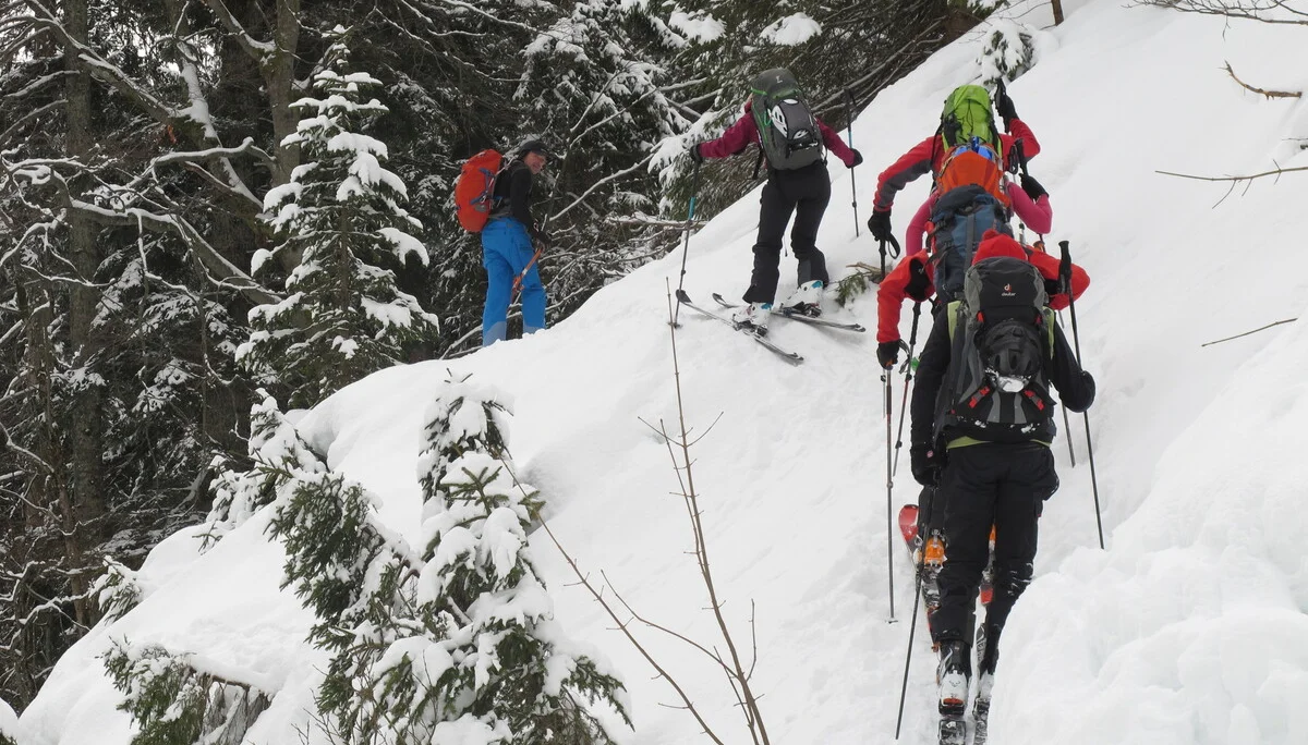 Ammerwald | © Ammerwald
