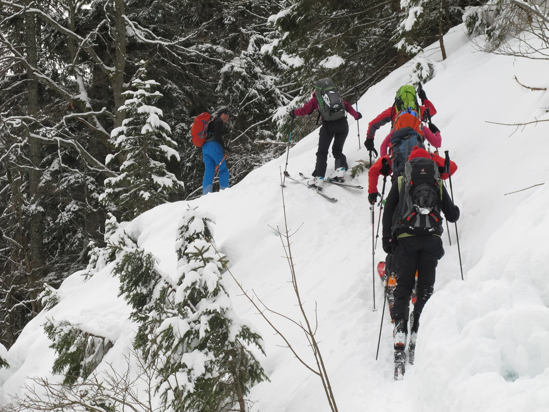 Ammerwald | © Ammerwald