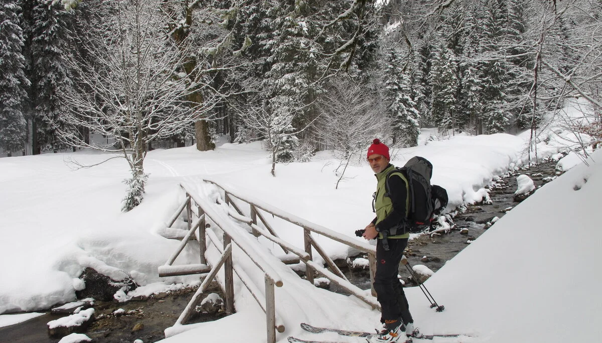 Ammerwald | © Ammerwald