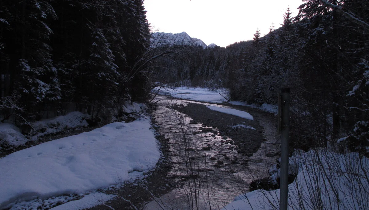 Ammerwald | © Ammerwald