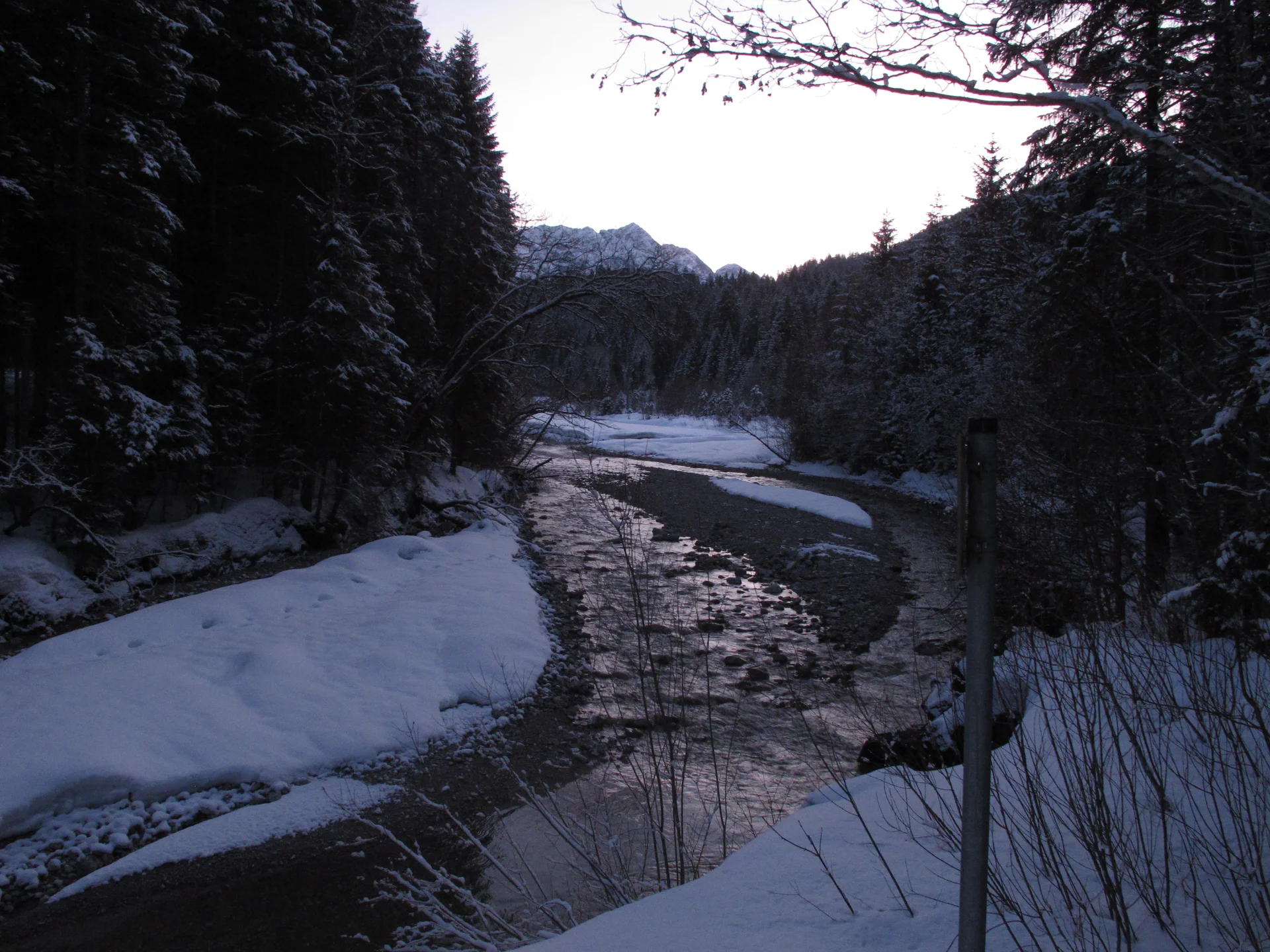 Ammerwald | © Ammerwald