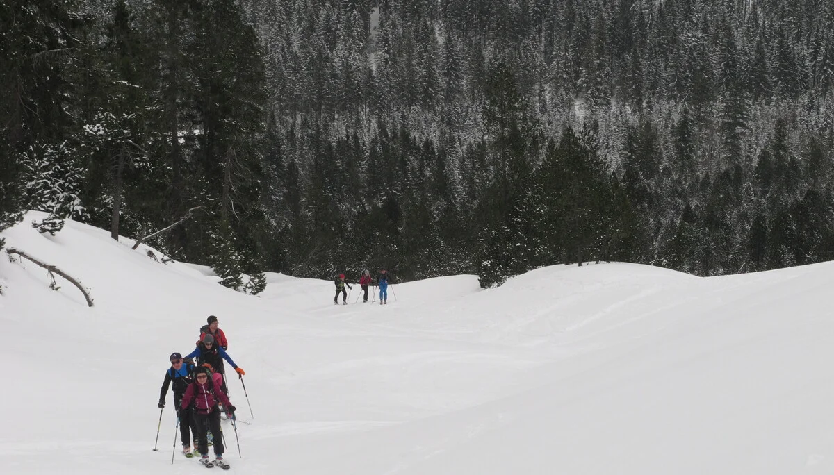 Ammerwald | © Ammerwald