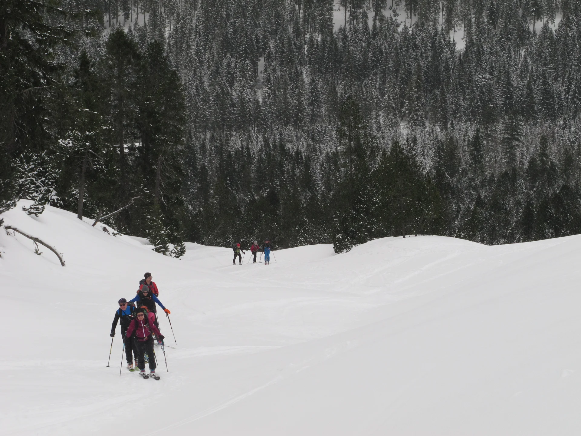 Ammerwald | © Ammerwald