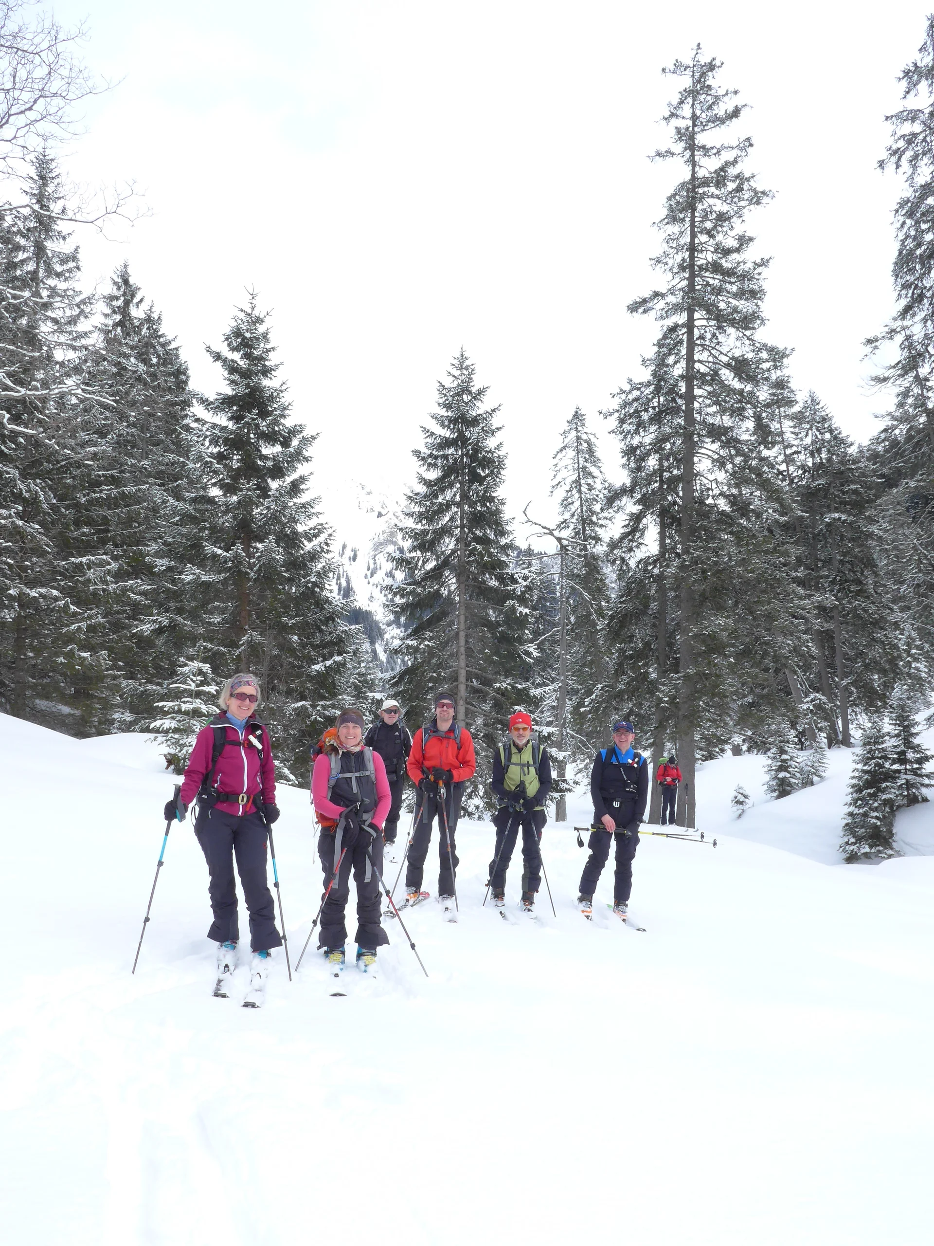 Ammerwald | © Ammerwald