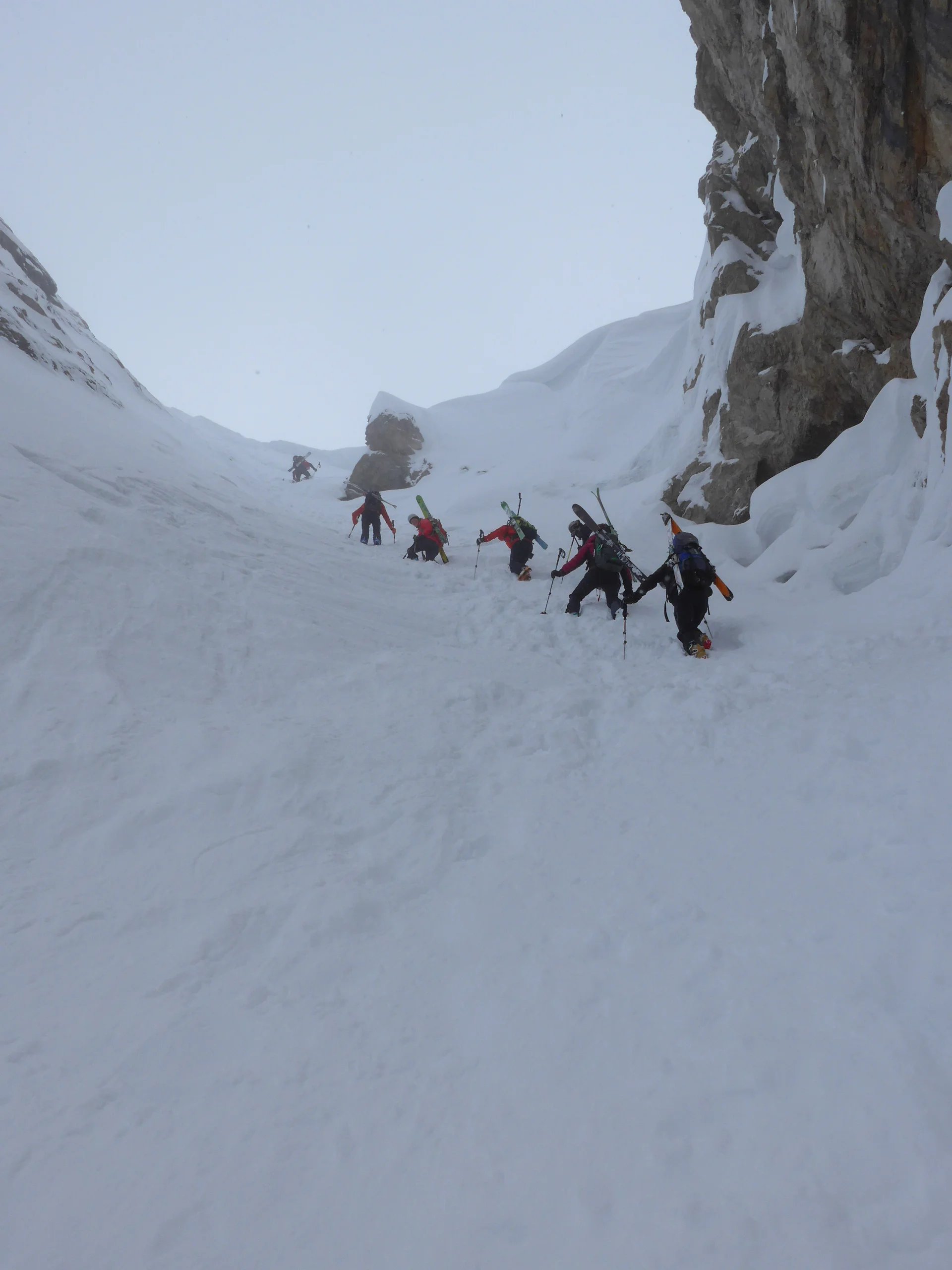 Ammerwald | © Ammerwald