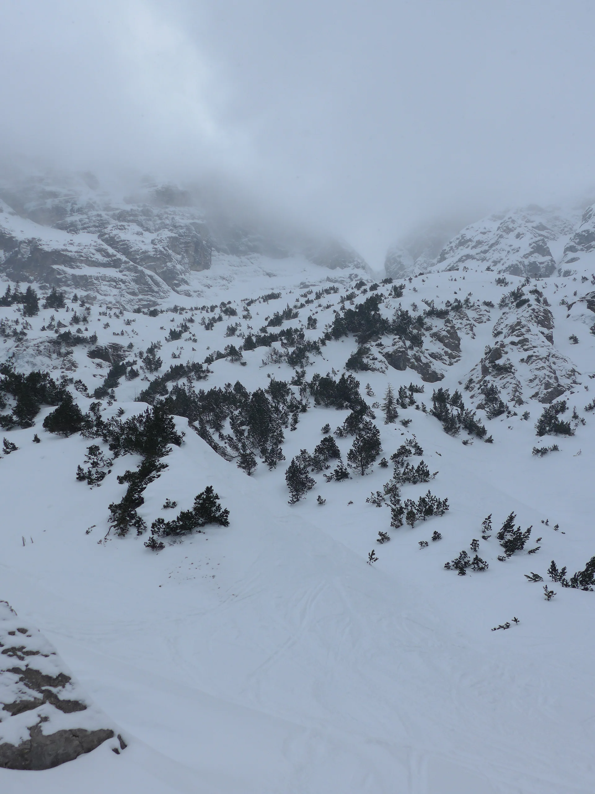 Ammerwald | © Ammerwald