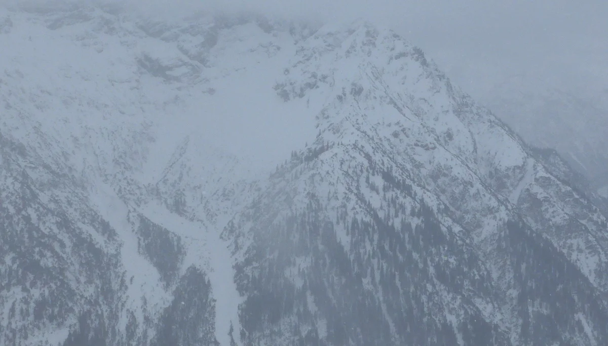 Ammerwald | © Ammerwald