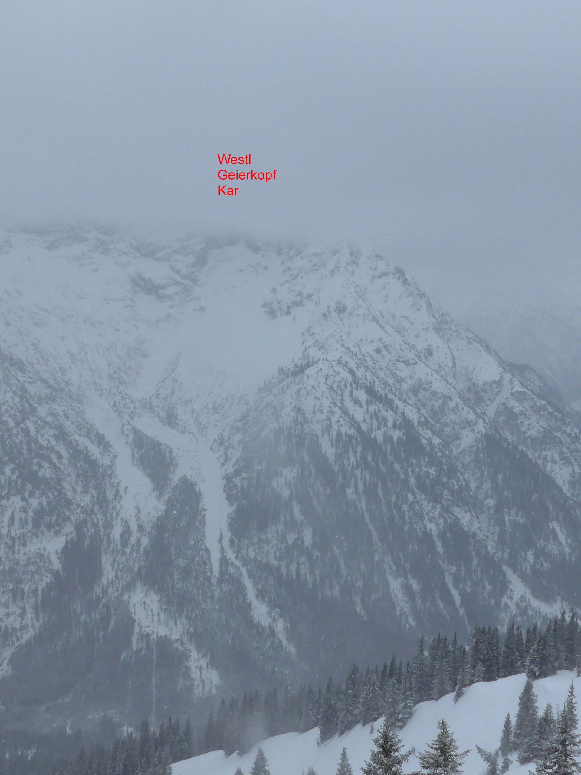 Ammerwald | © Ammerwald