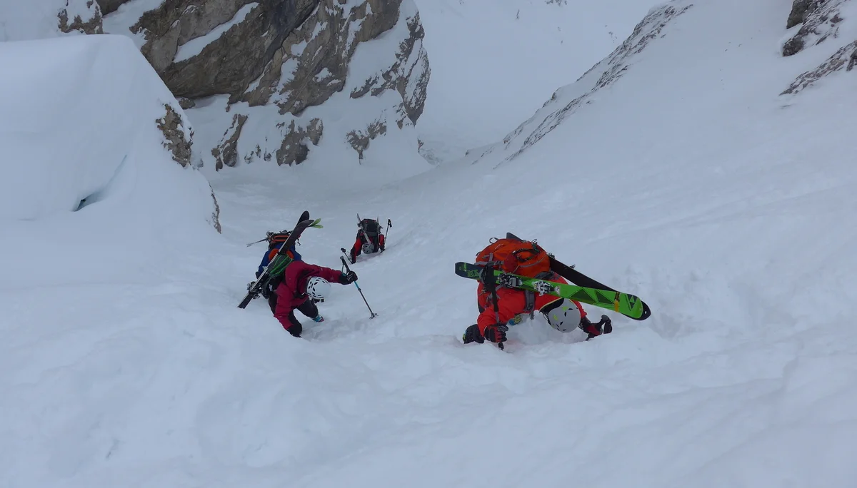 Ammerwald | © Ammerwald