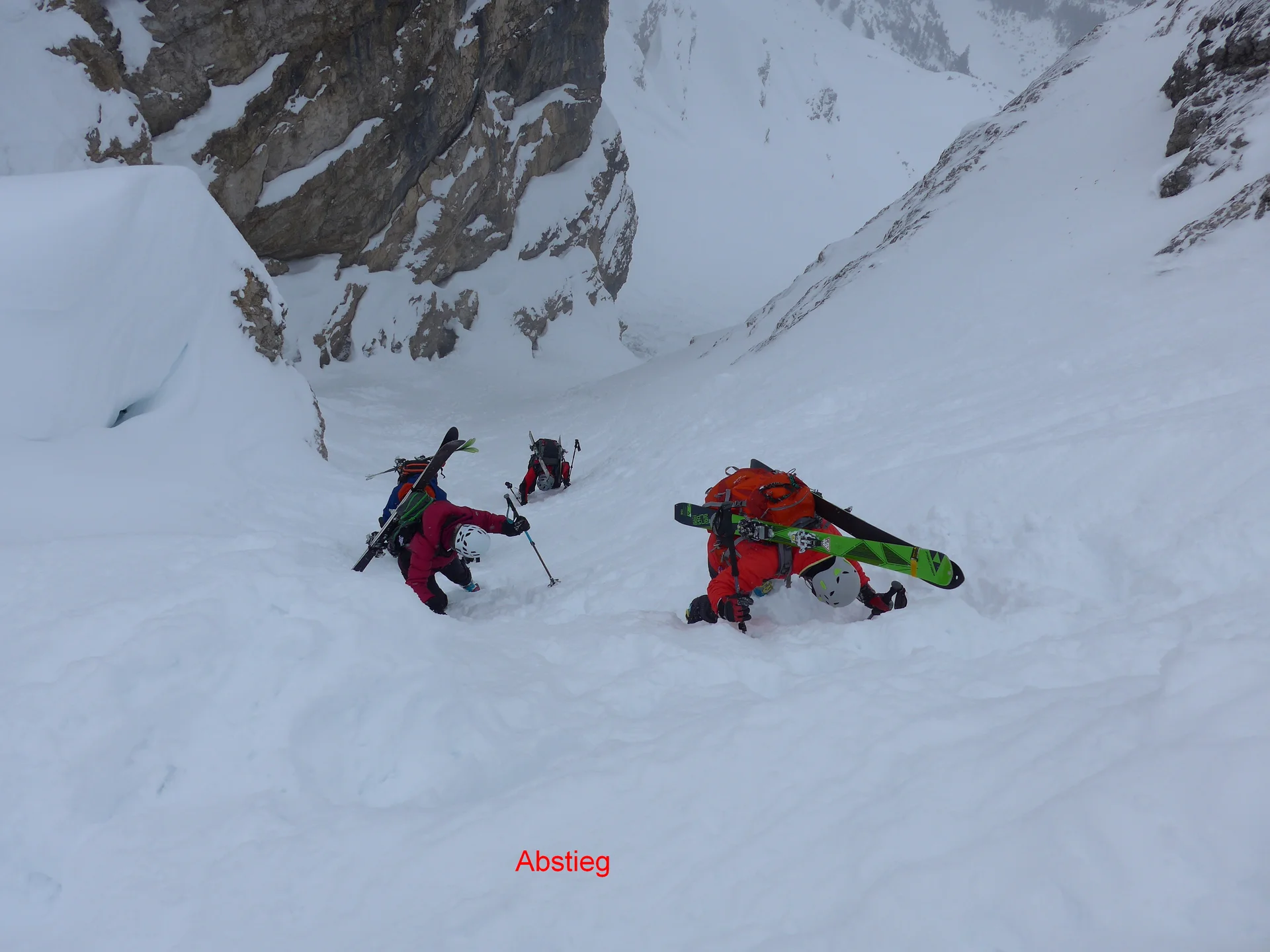 Ammerwald | © Ammerwald