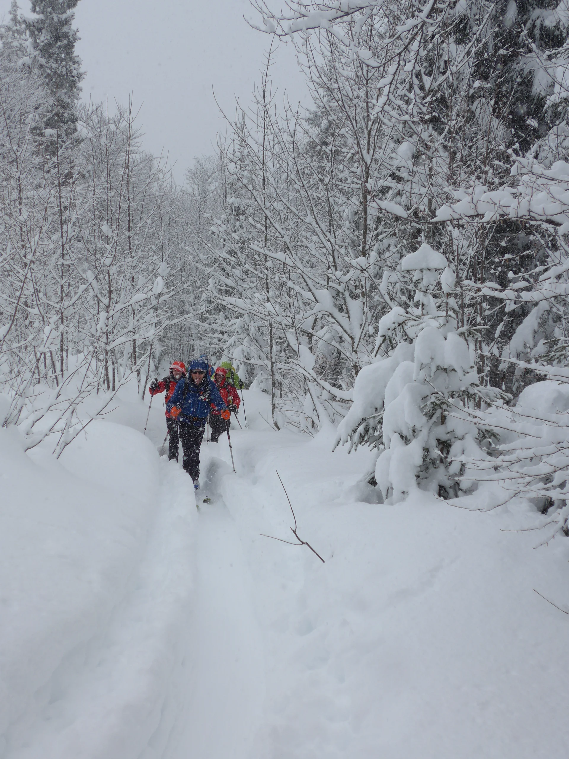 Wurzeralm | © Wurzeralm