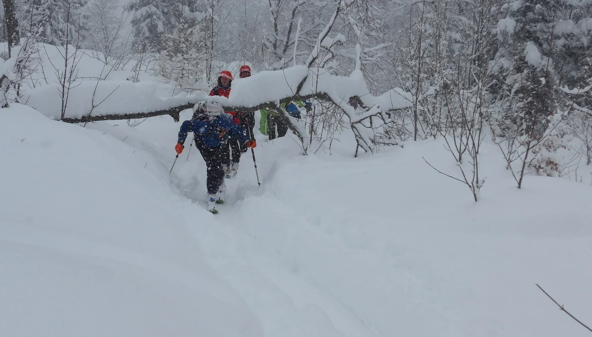 Wurzeralm | © Wurzeralm