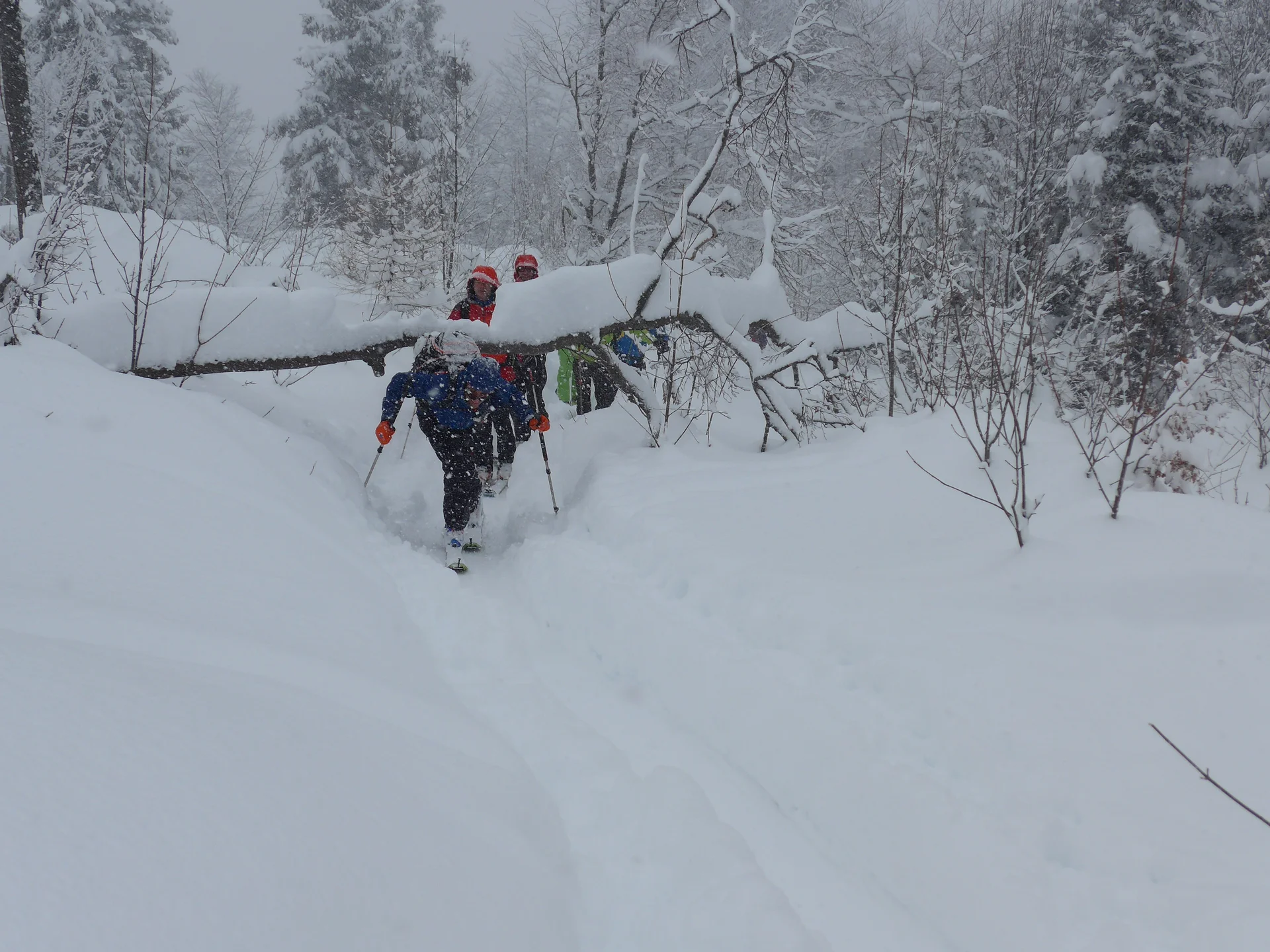 Wurzeralm | © Wurzeralm