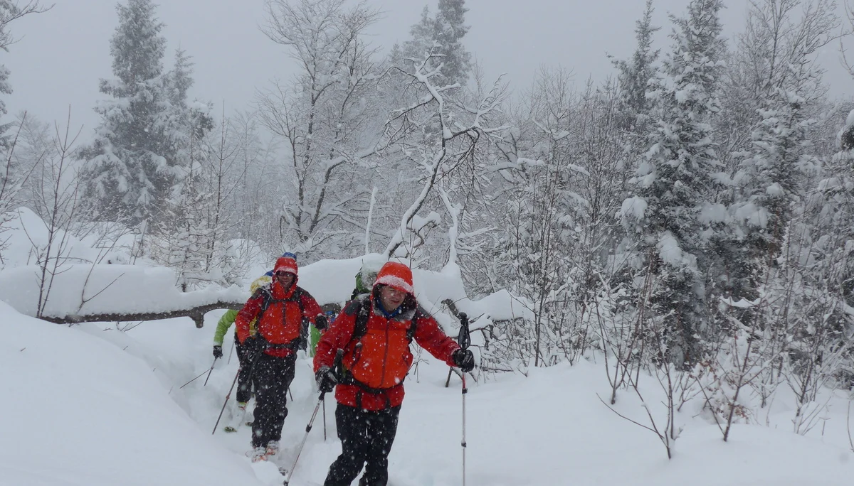 Wurzeralm | © Wurzeralm