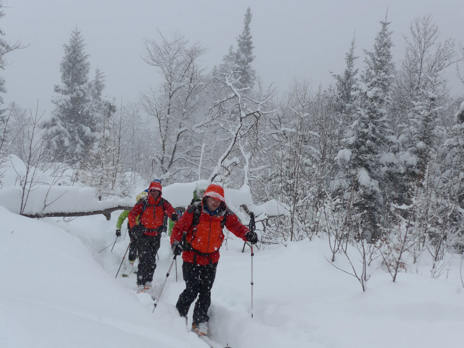 Wurzeralm | © Wurzeralm