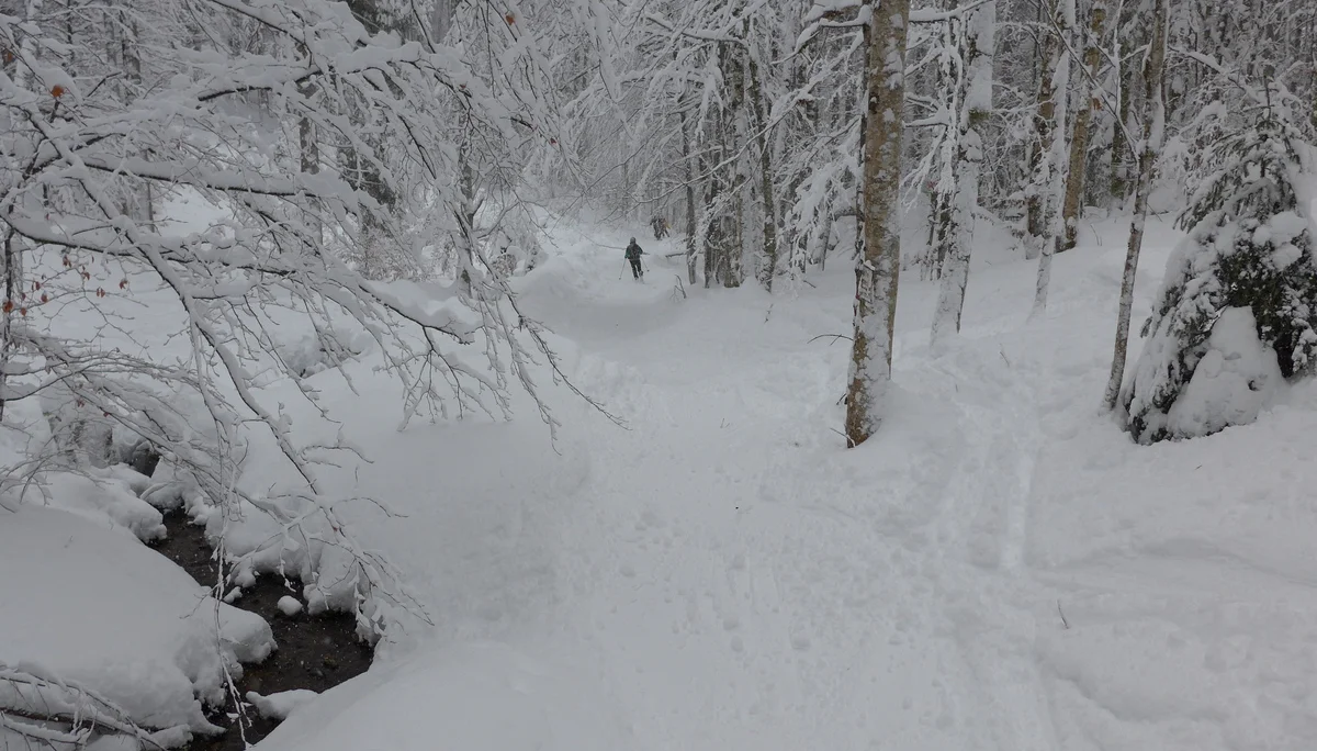 Wurzeralm | © Wurzeralm