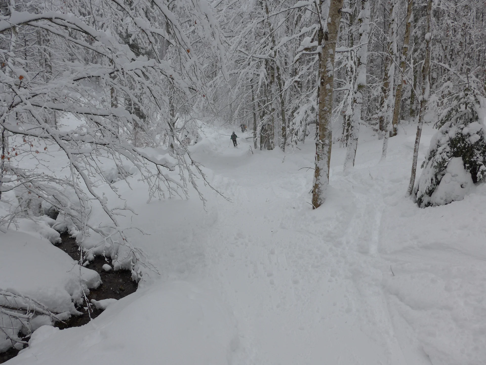Wurzeralm | © Wurzeralm