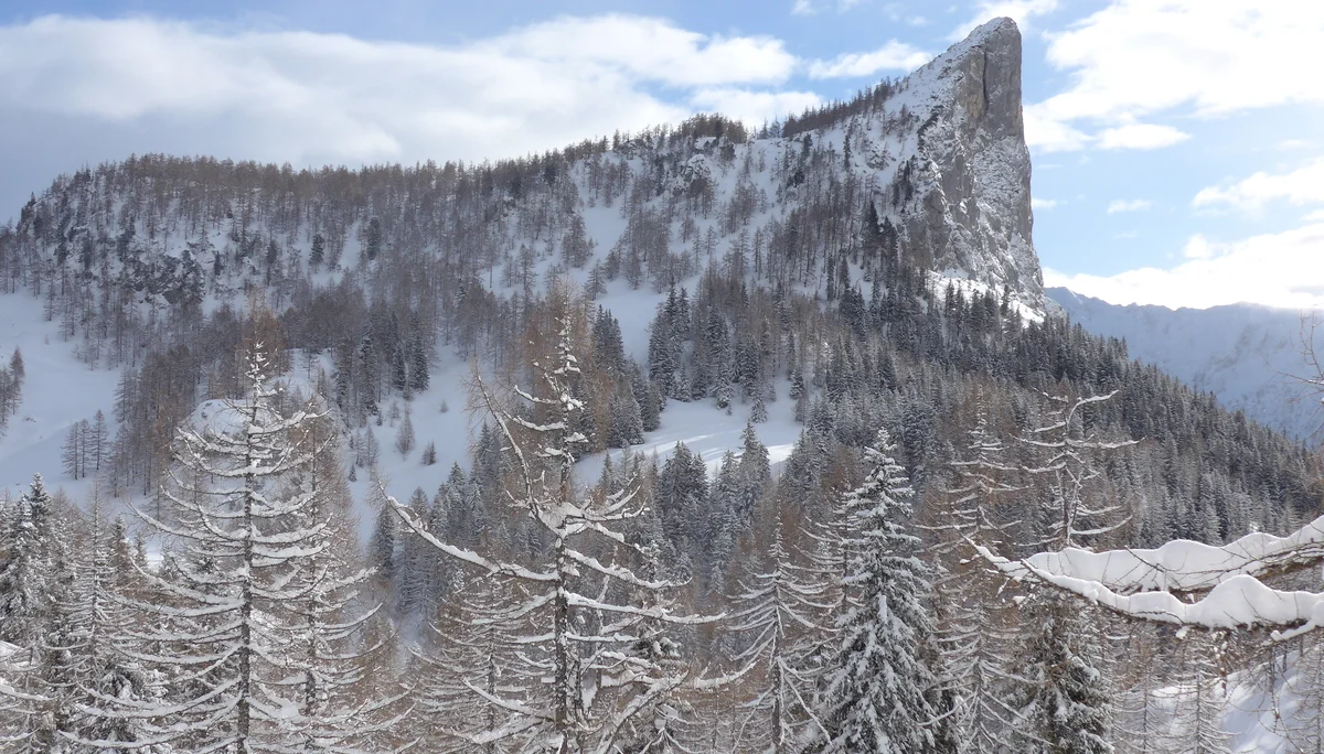 Wurzeralm | © Wurzeralm