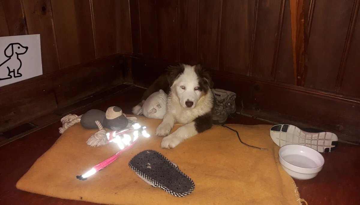 HoheTauern | © HoheTauern