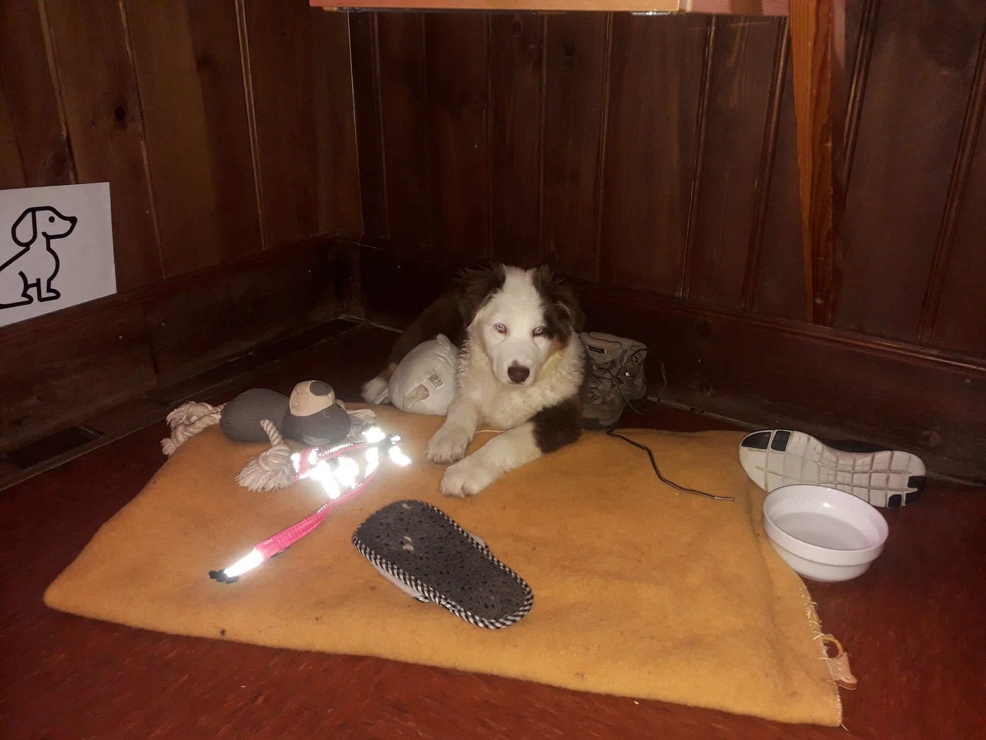 HoheTauern | © HoheTauern